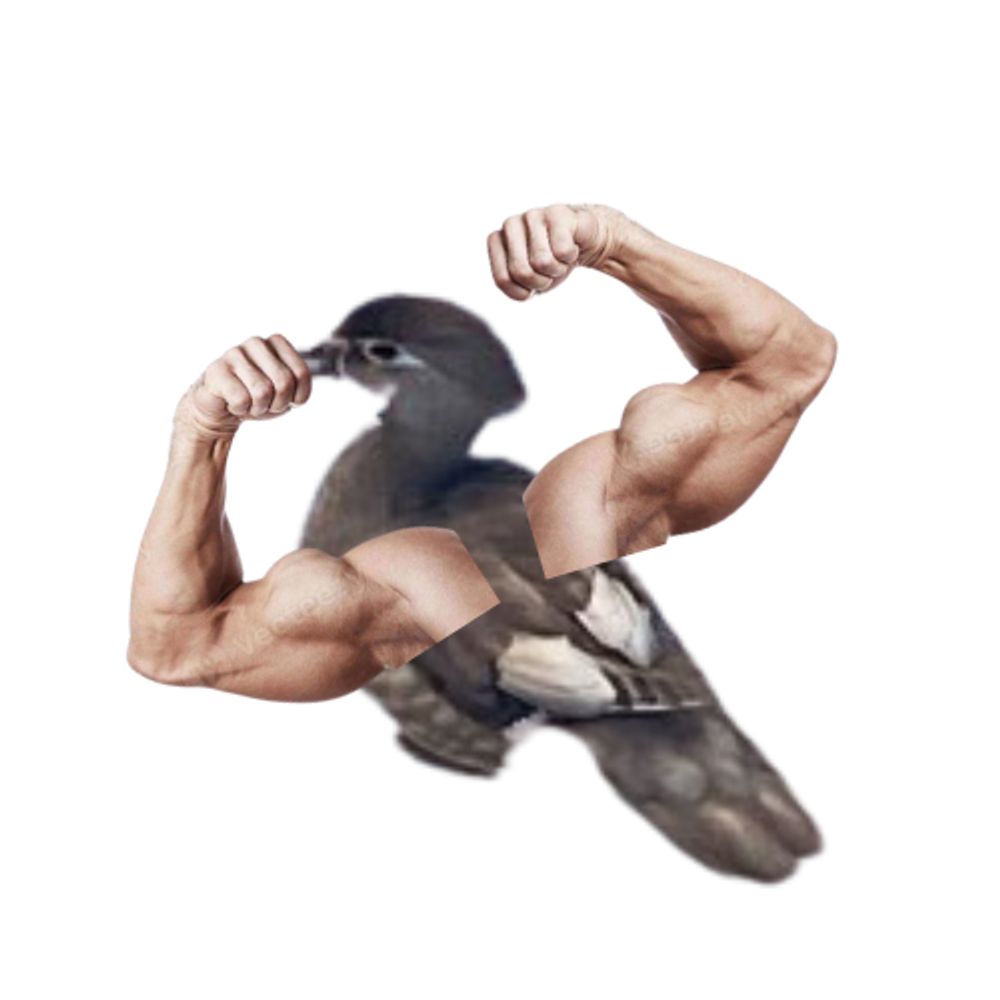 BNN