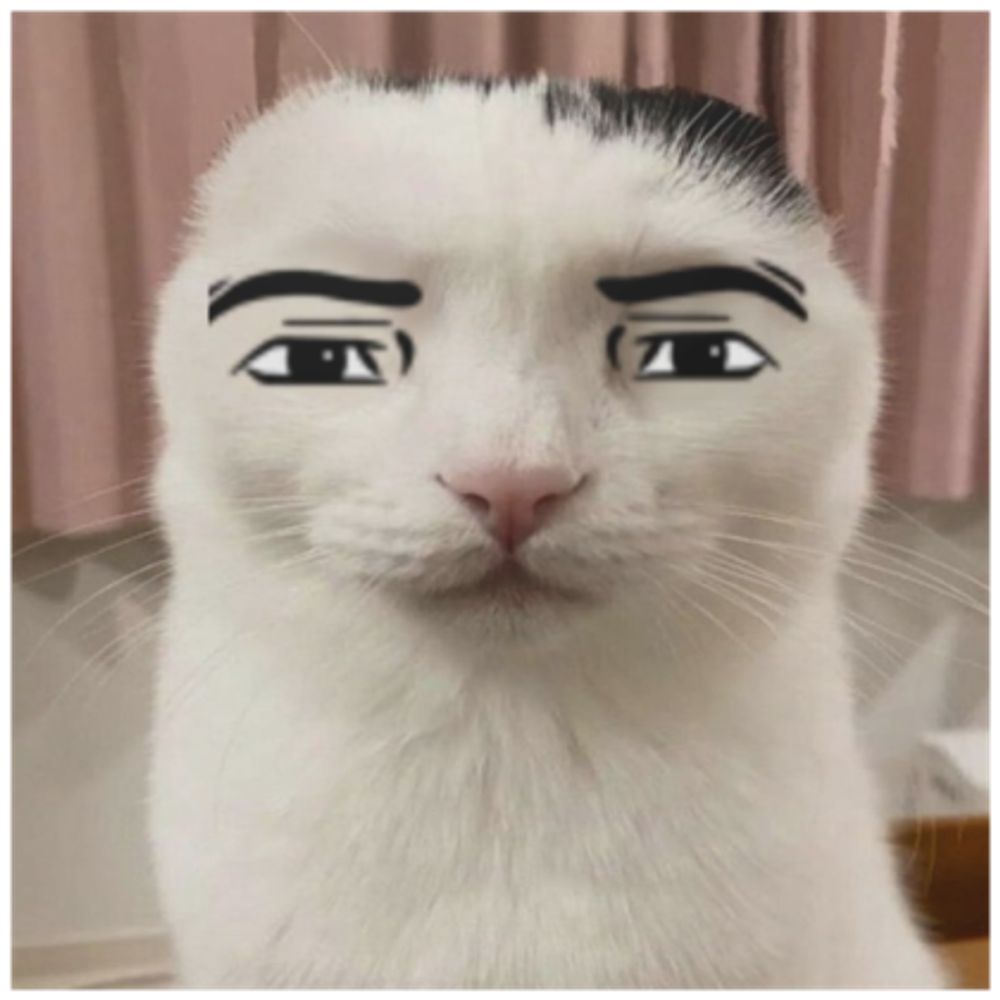 fabulous fello