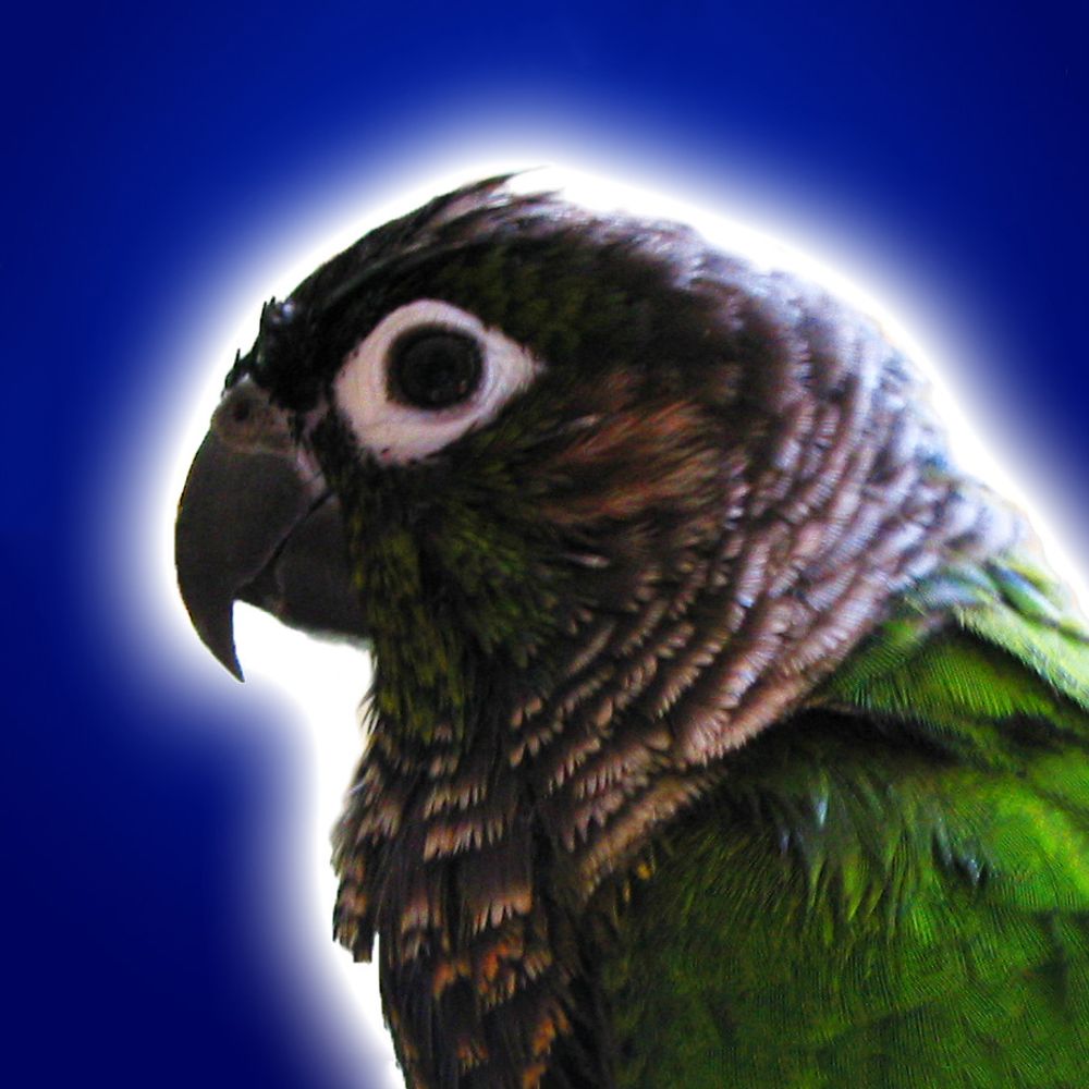 LivingDinosaur