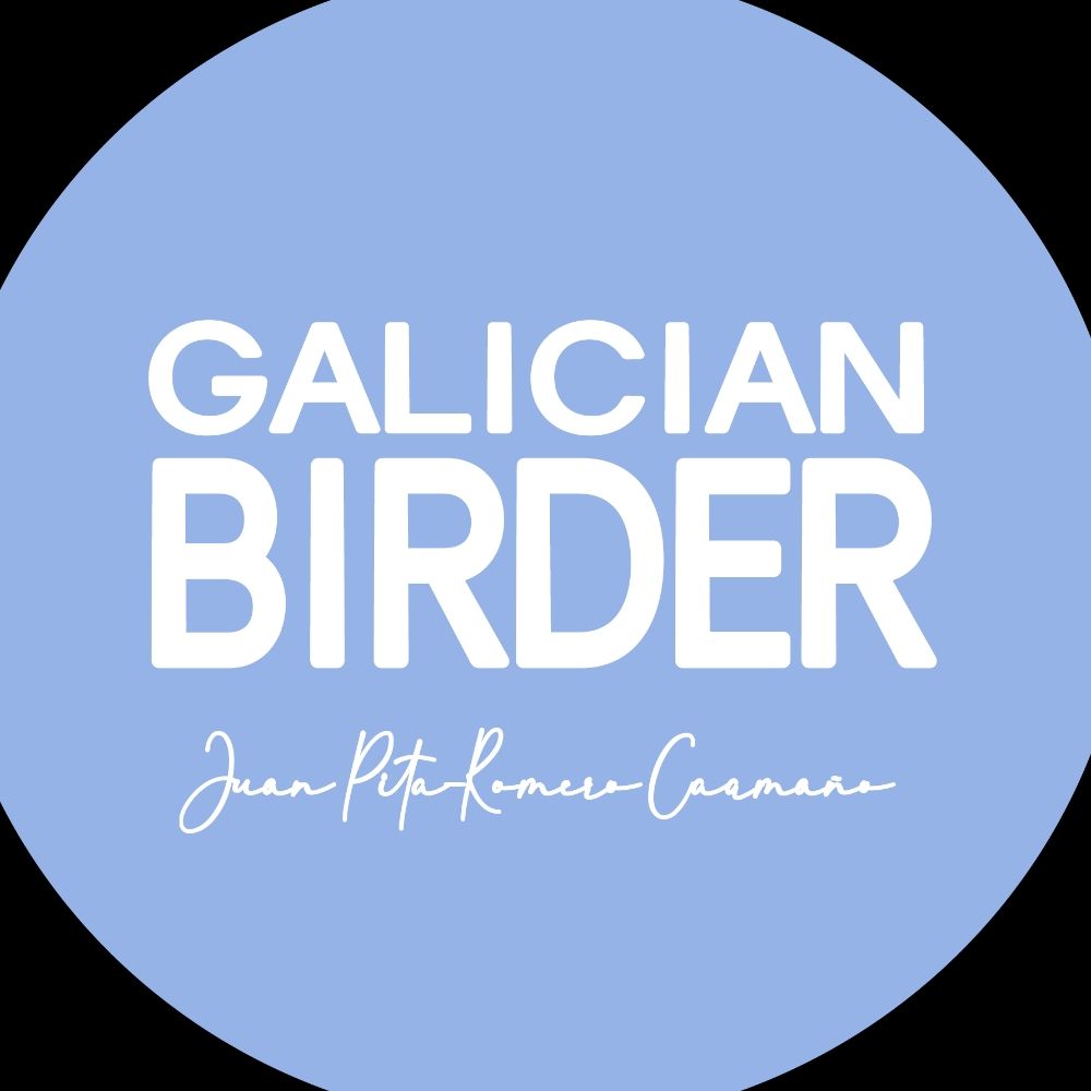 Galician Birder