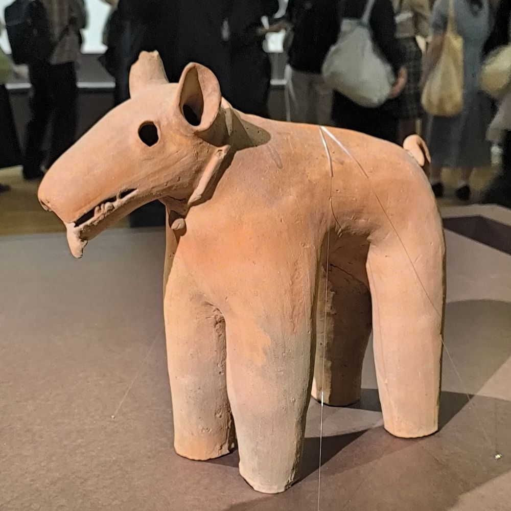 犬