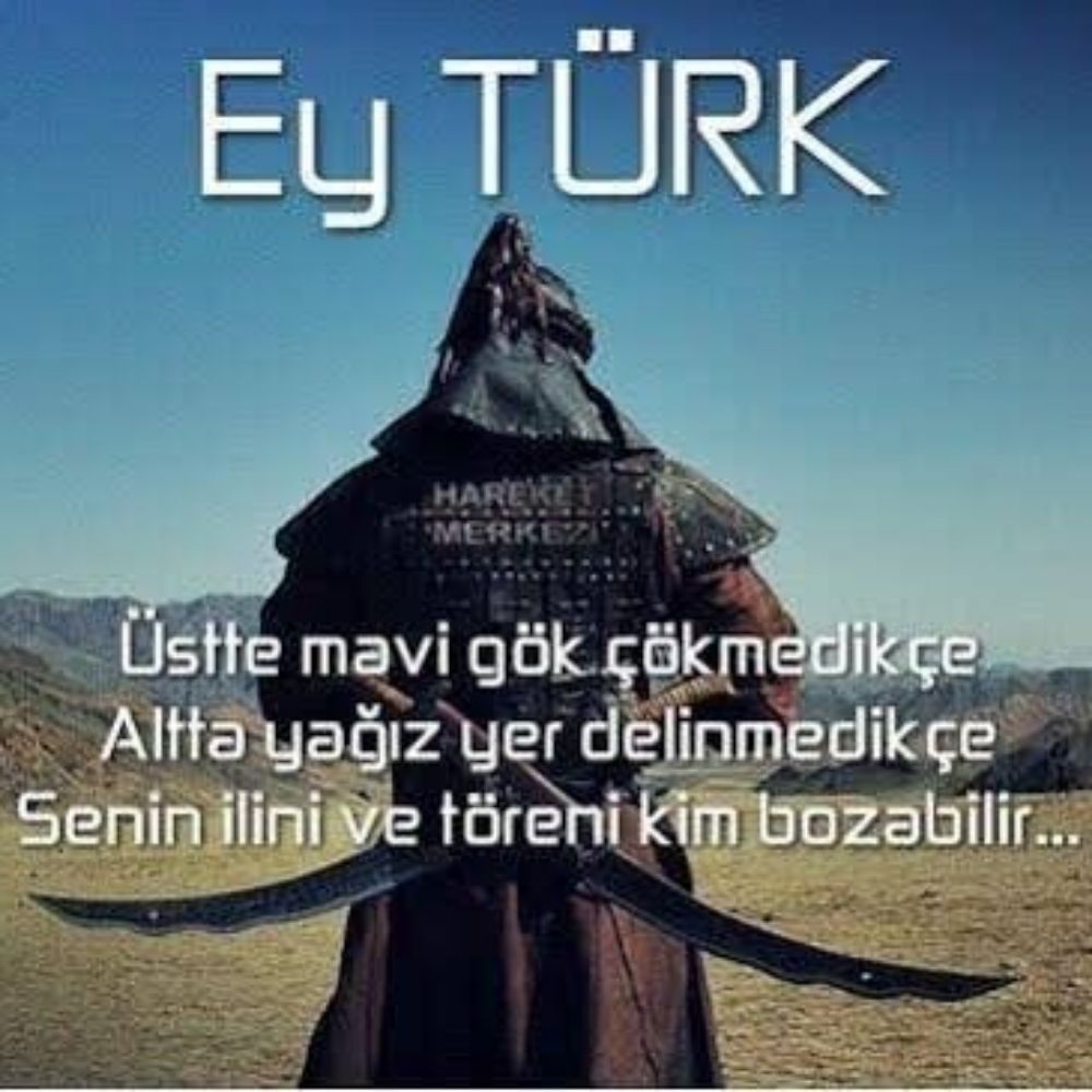 Öküzbaşlı Gövel Ördek