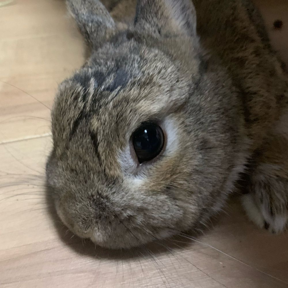 ちゆ