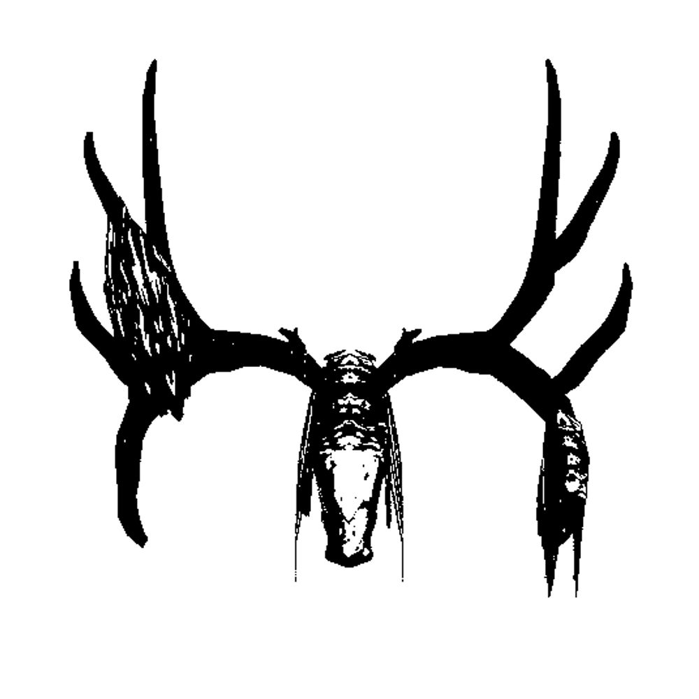 𝕽𝖆𝖎𝖓