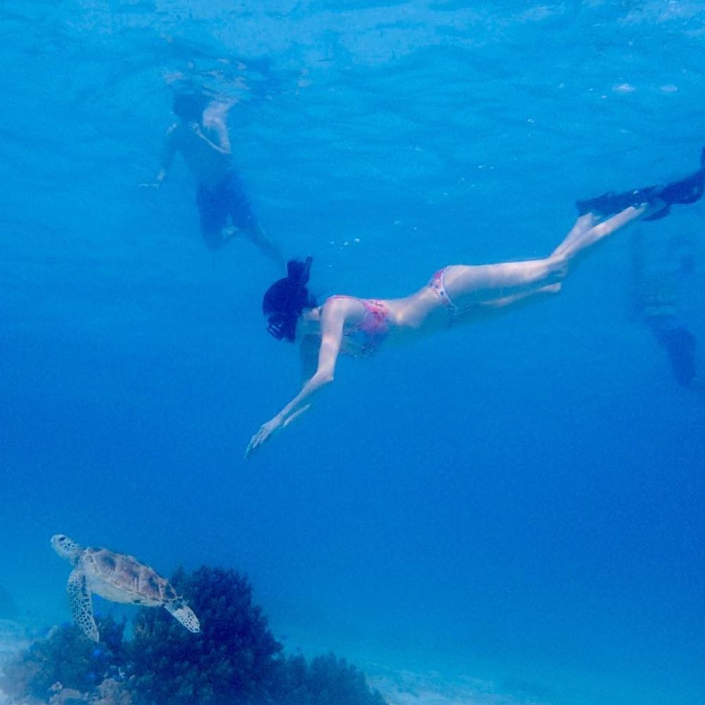 Explore the Ocean🌊