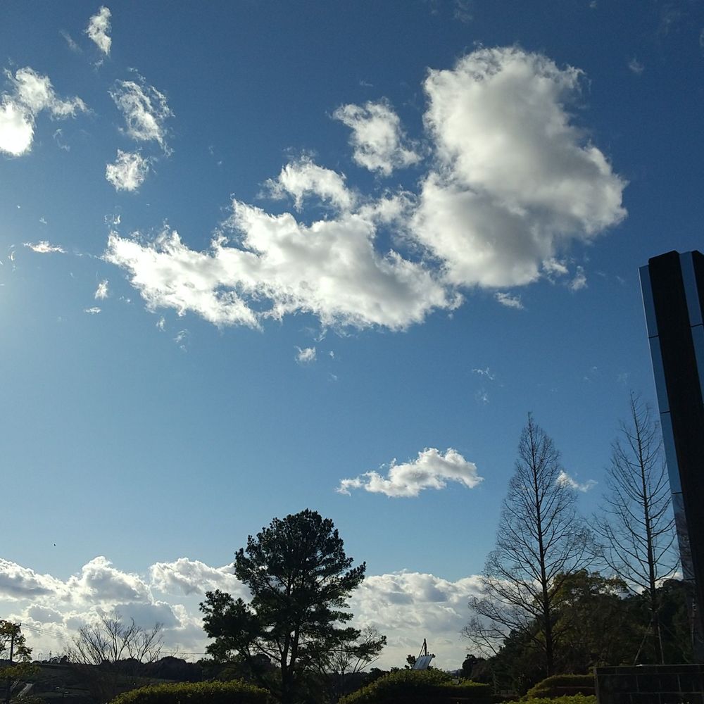 雨空