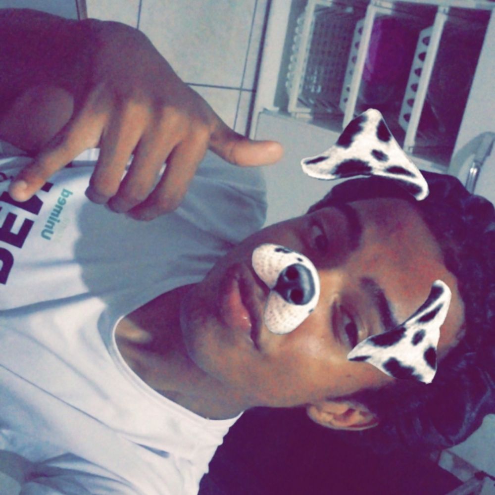 pvd.danii