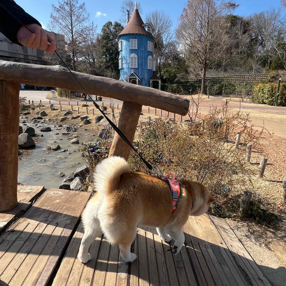 とど。