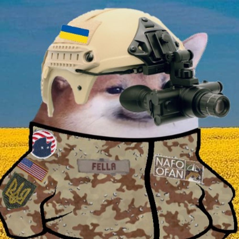 Sunny Fella☀️ 🇺🇦  🇺🇸