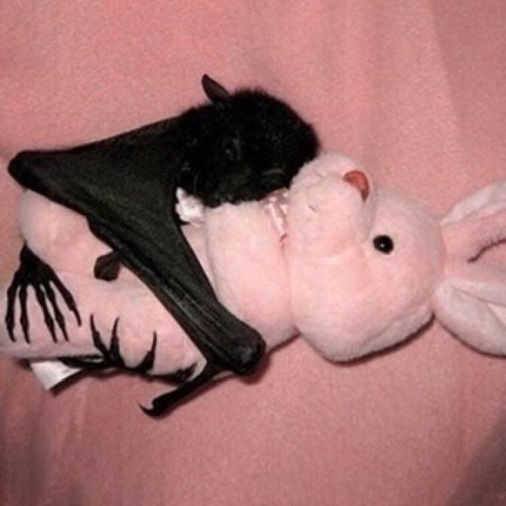🦇Bat Apocalypse🦇