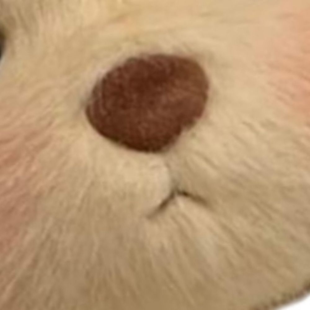 연두