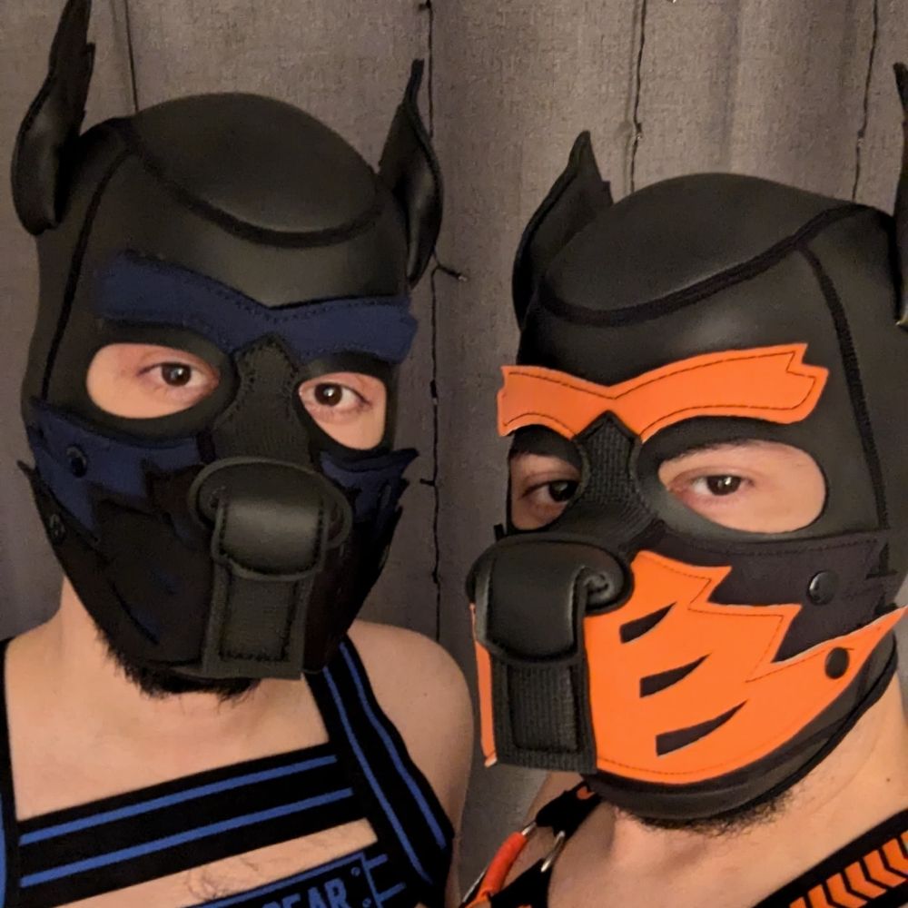 Gaymer Pups