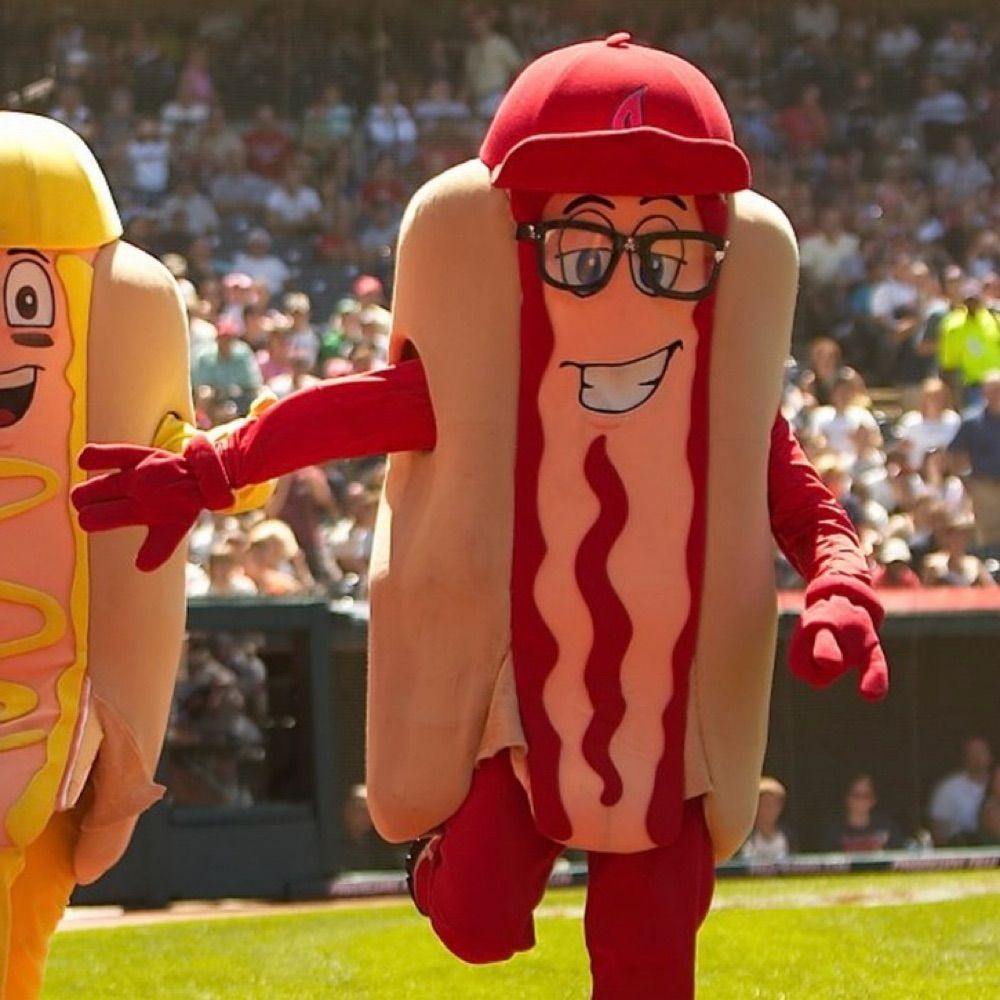 Not a bot. Just a corn dog 🌭