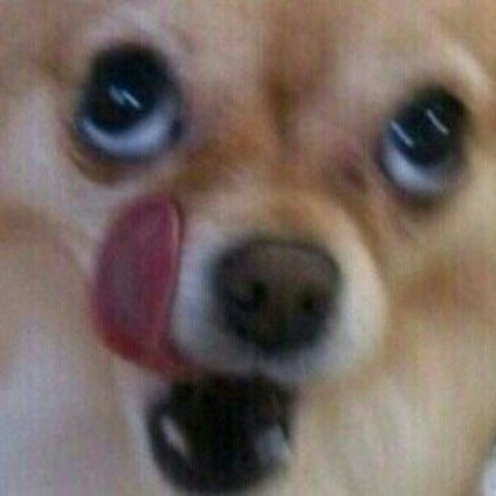 휴지