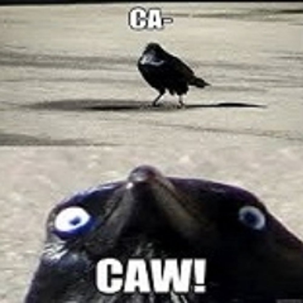 JDAWGCAW