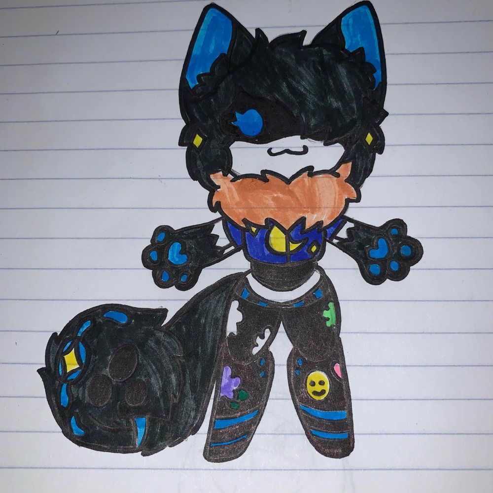 ✨Moon the Cat Drone✨