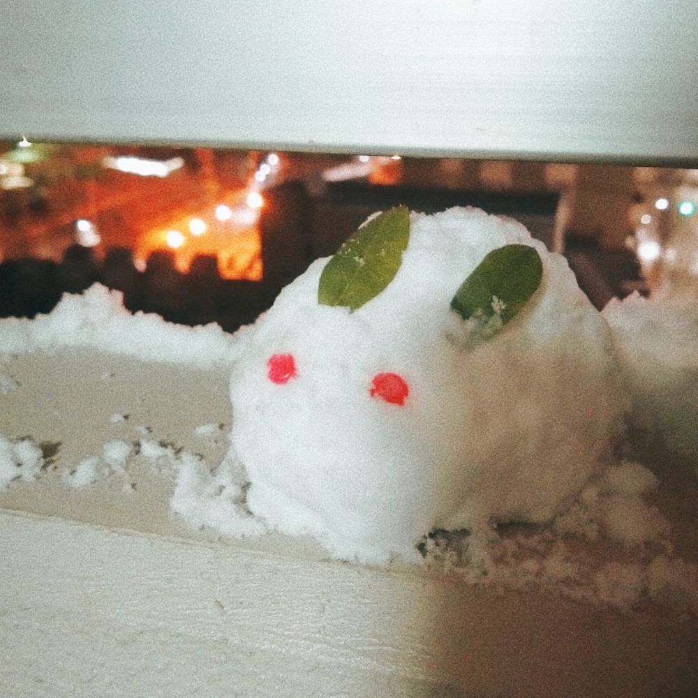 雪うさぎ