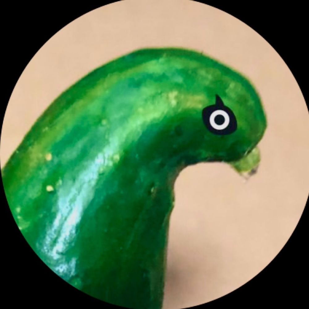 きゅうり🥒