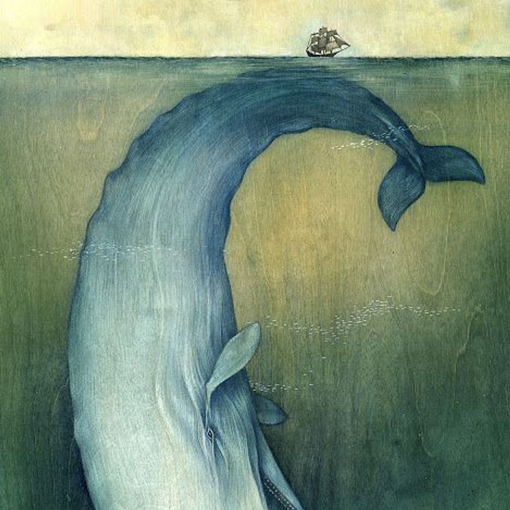 the white whale