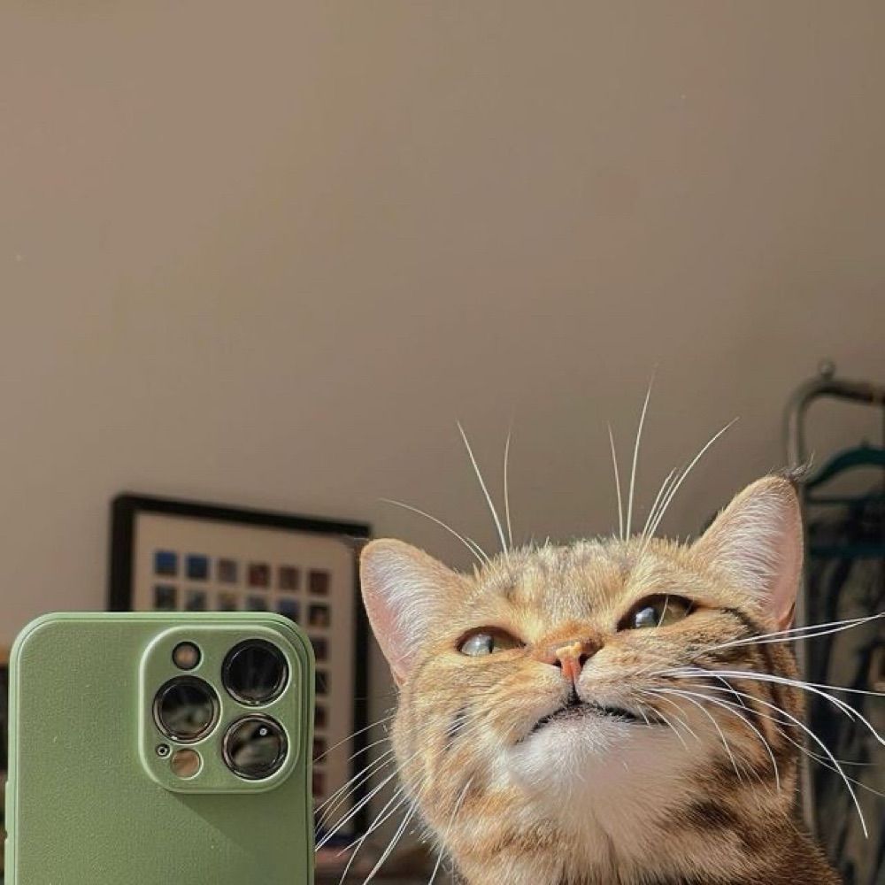 nalü