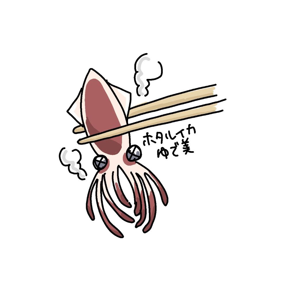 ほたるいかゆで美