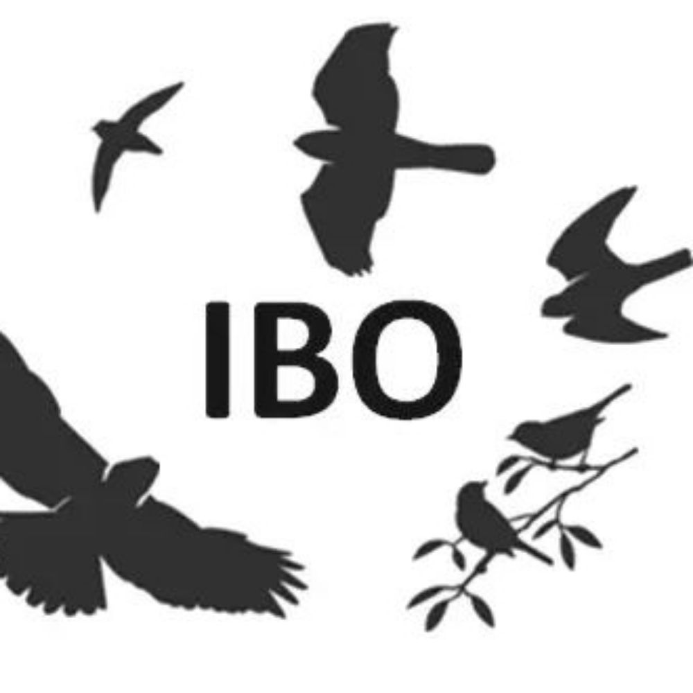 Intermountain Bird Observatory