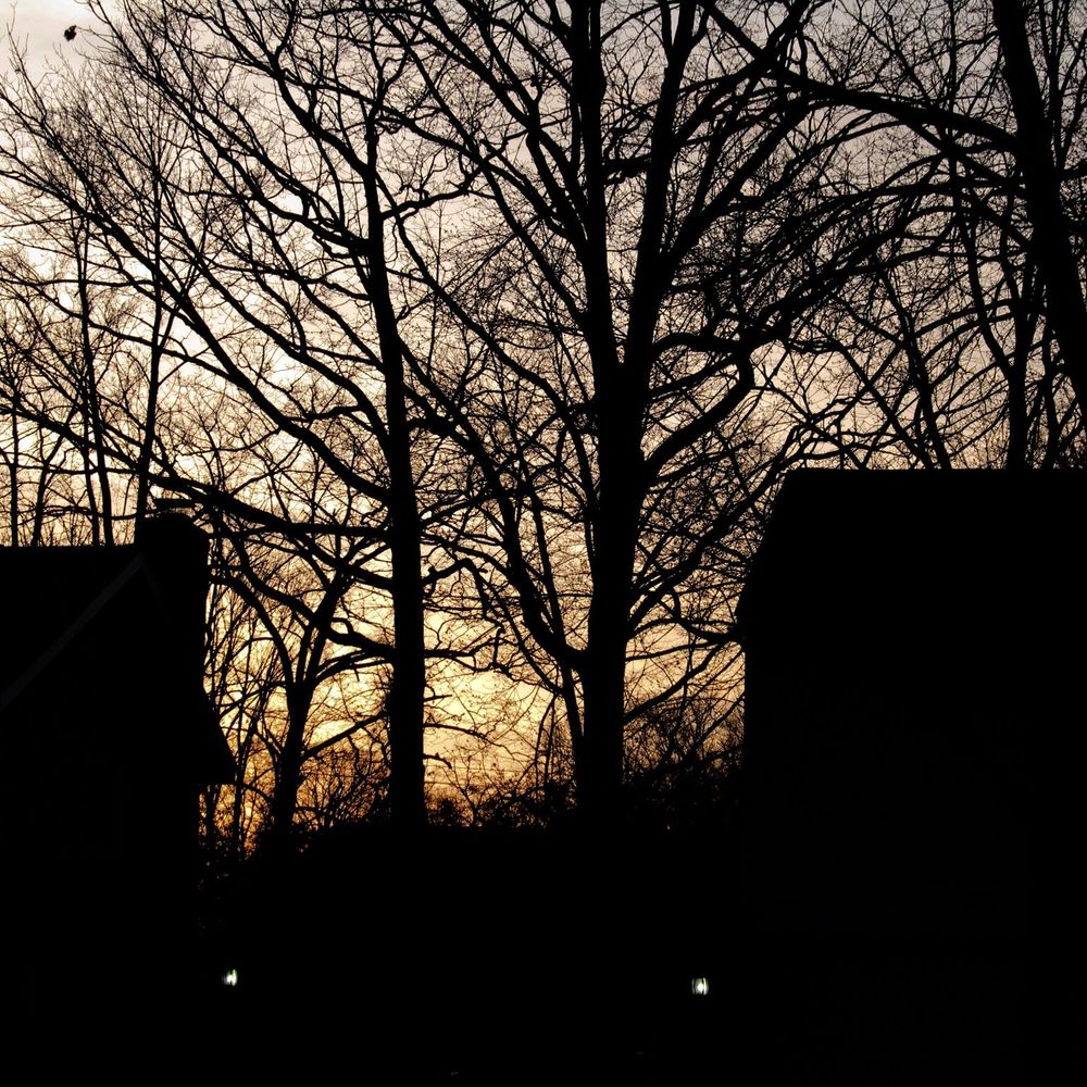 Suburban Ecosystem