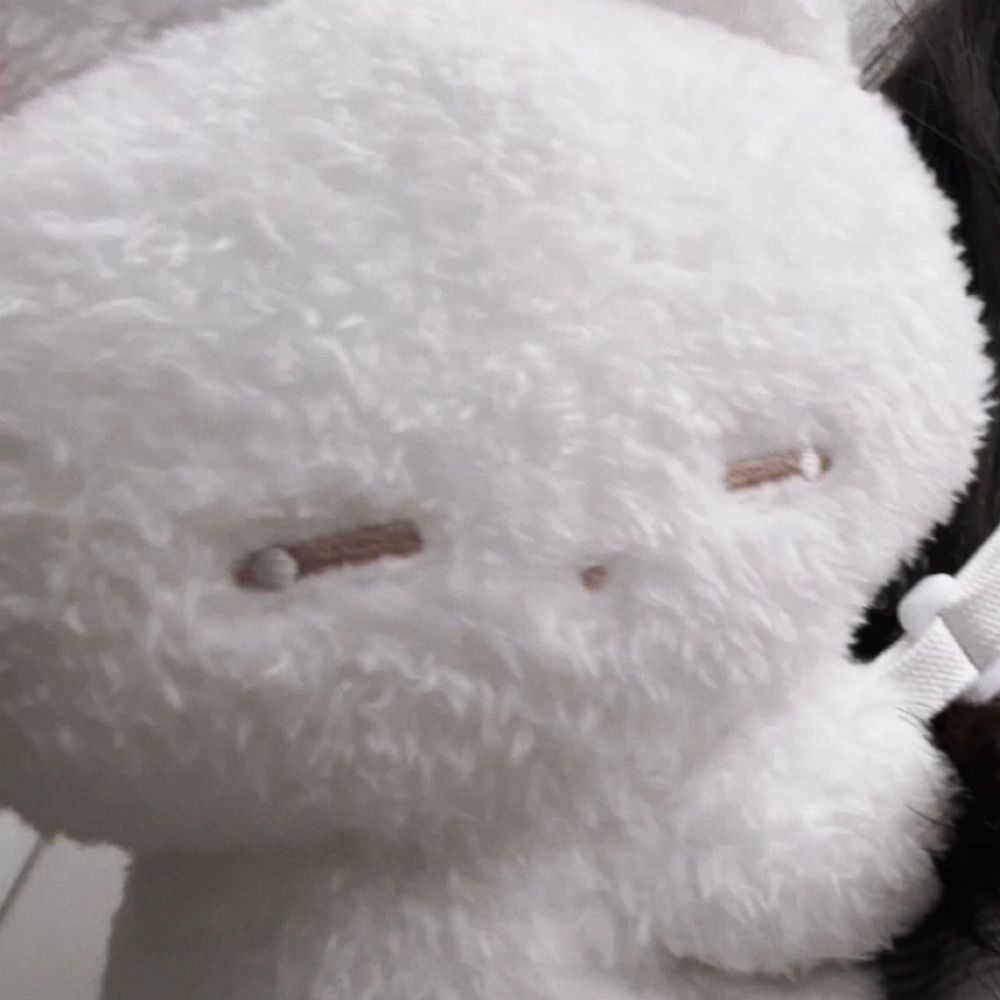 ううさぎちゃんたろう