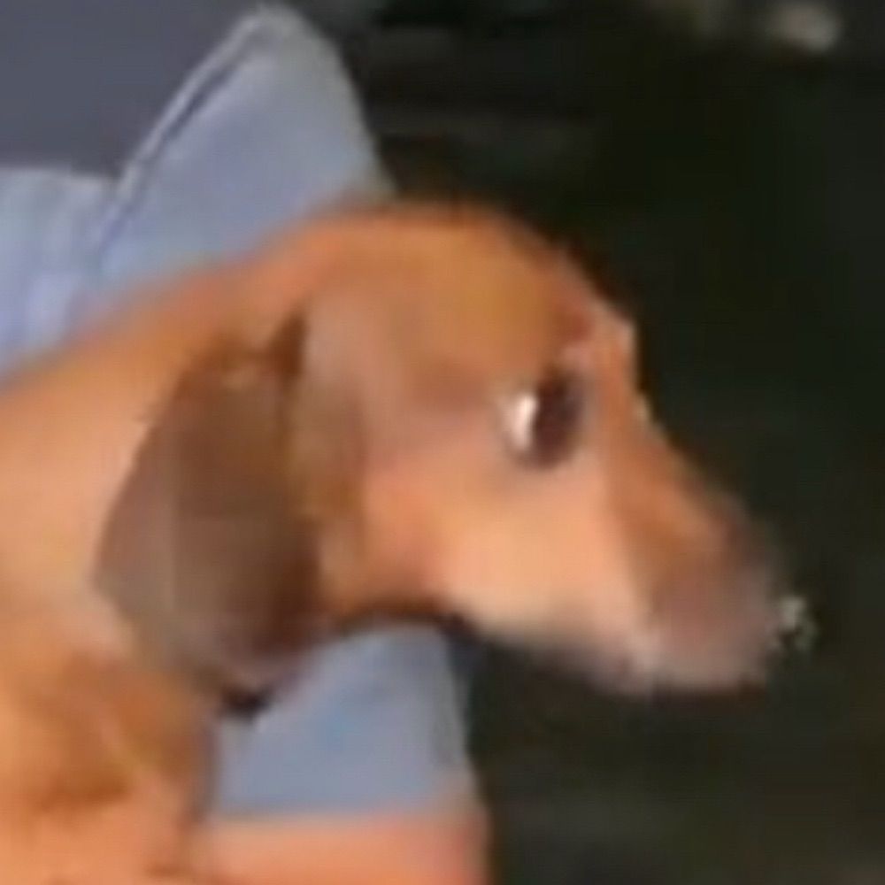 Sadboy Jorge