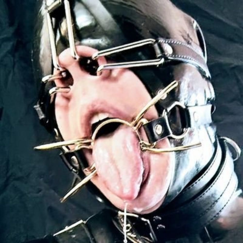 Seb 🐽⚡💦