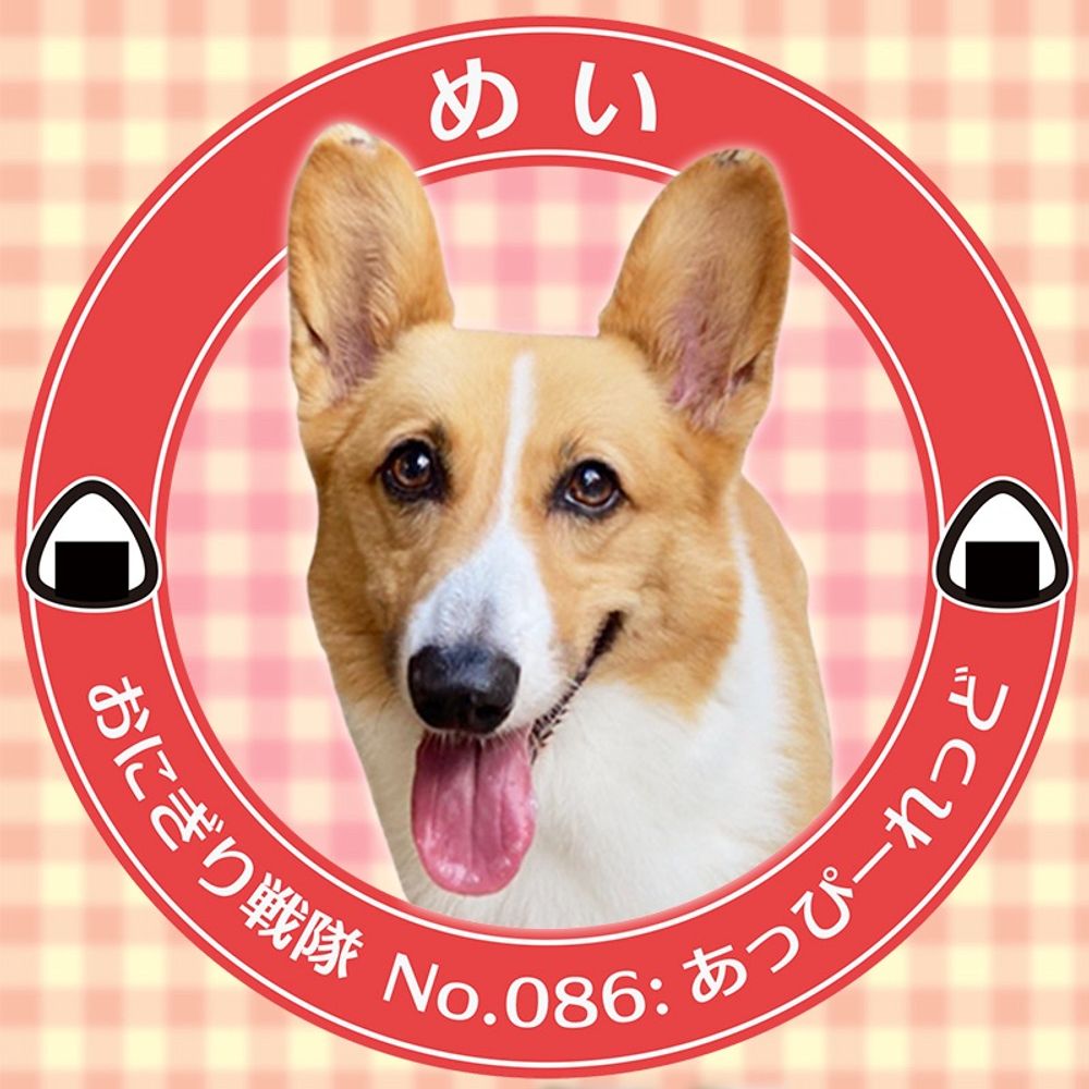 かもきち