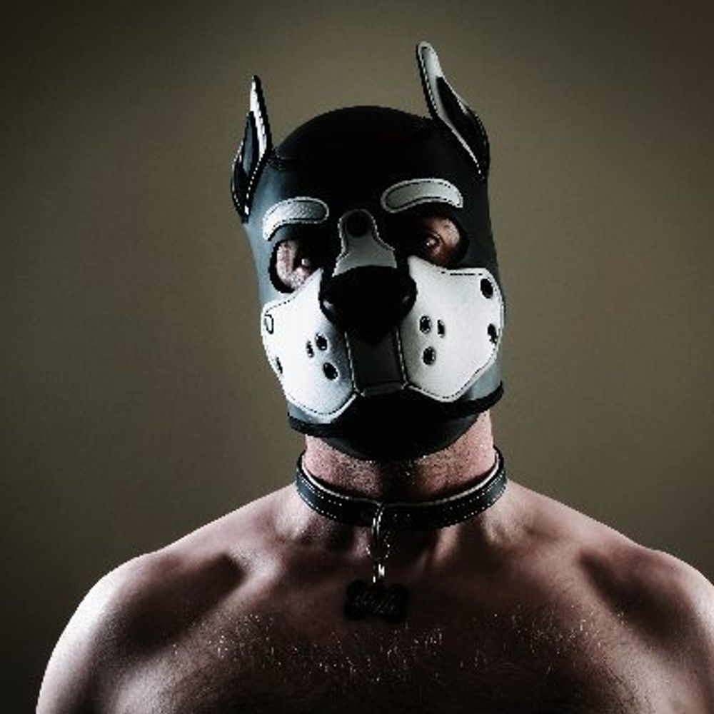 PupSkaffy