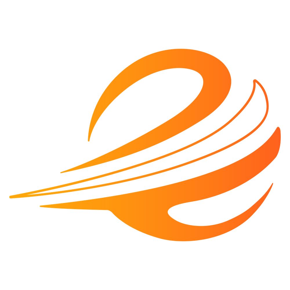 The Franchise Consultant