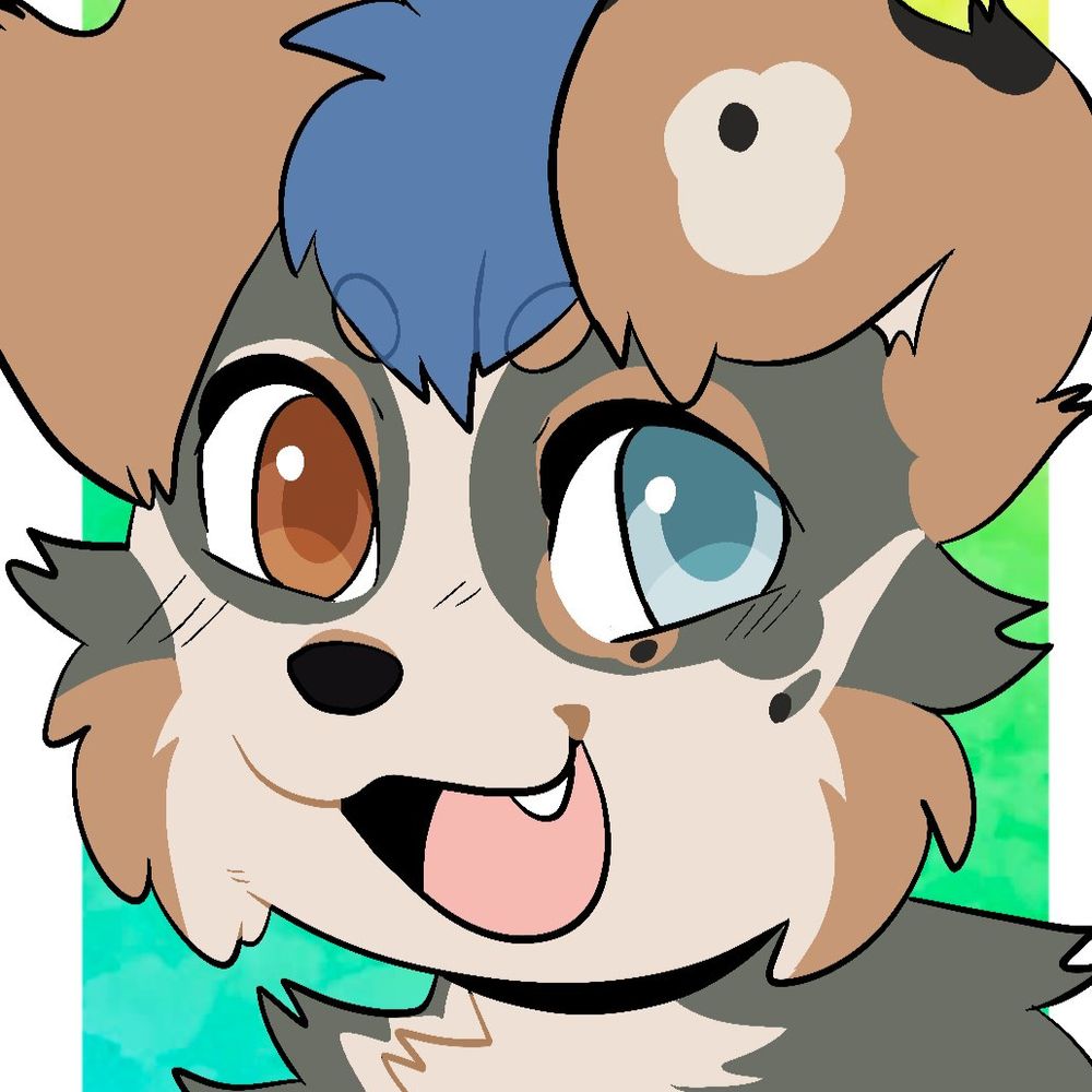 Gila Bender/Sierra Aussie 🔜 FWLA, AC, AFC, BLFC.