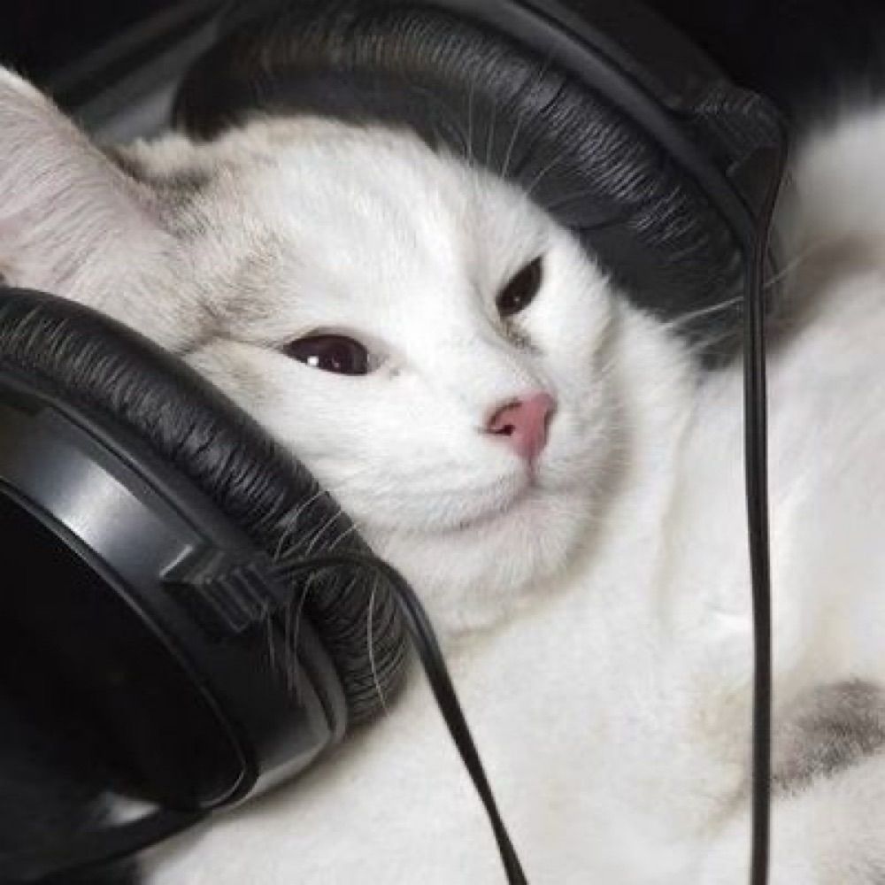 레야
