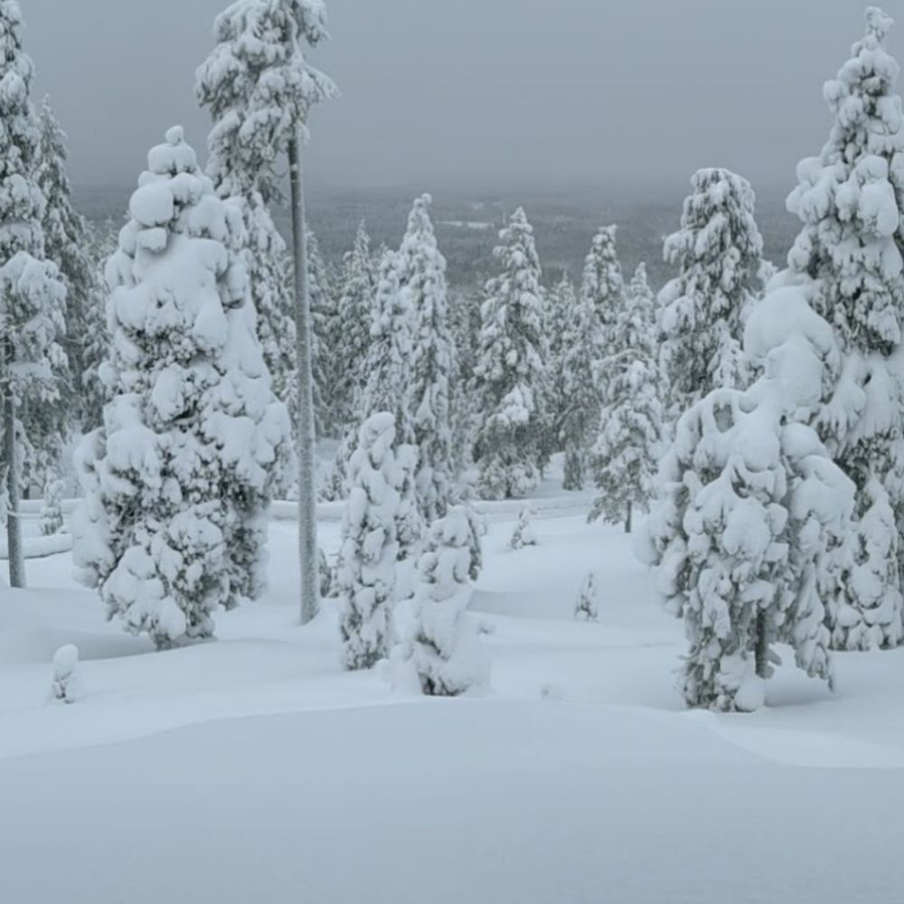 lunaoliver.bsky.social