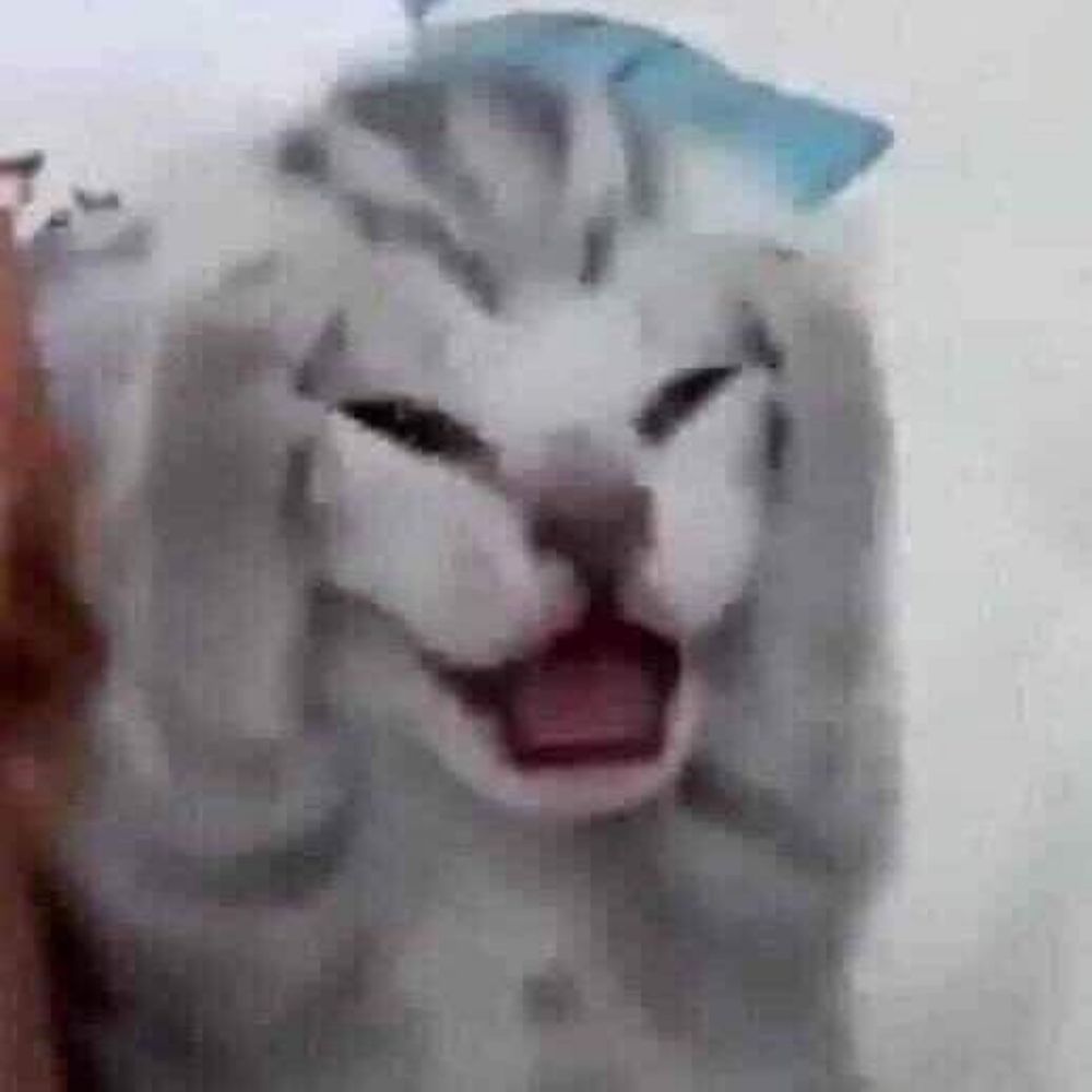 =⁠_⁠=