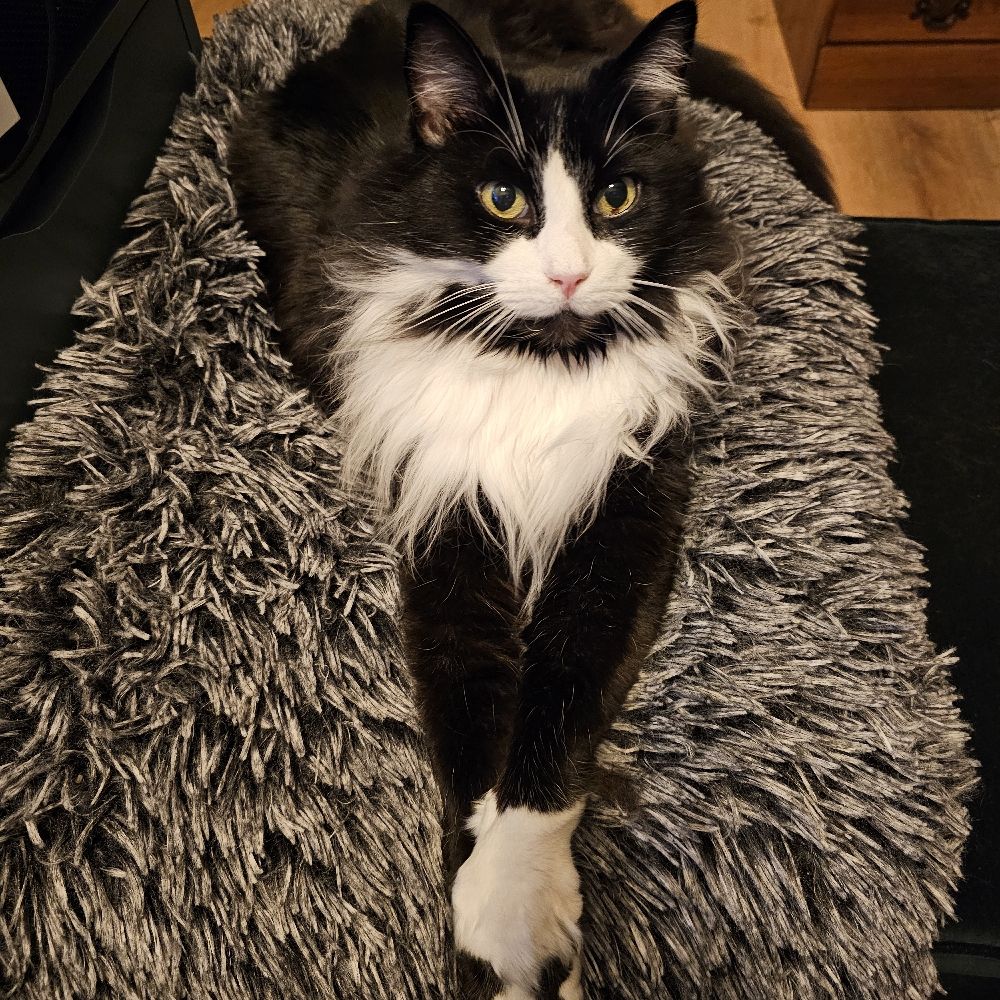 Kit