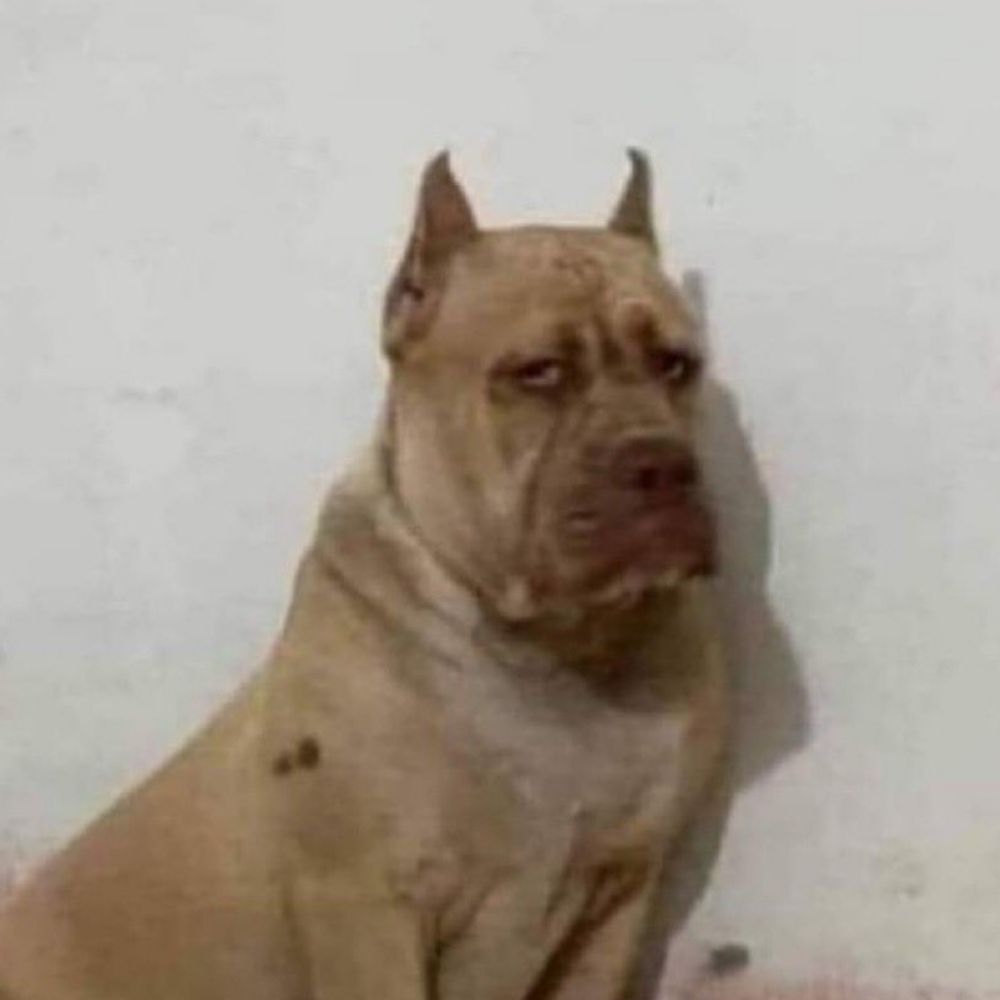 Lucas não superou o tt