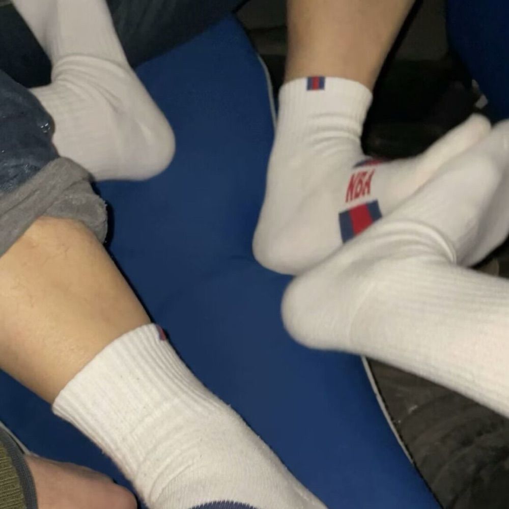 socksie