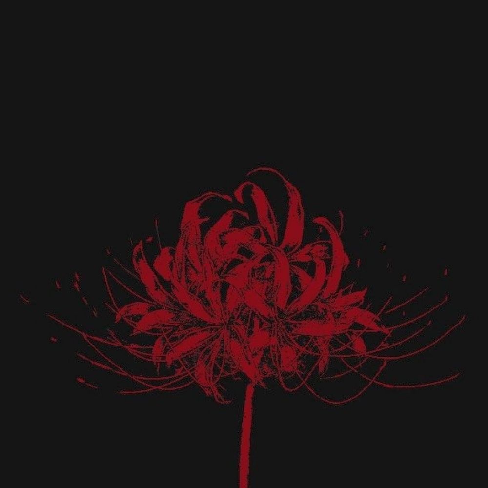 Mr.SpiderLily