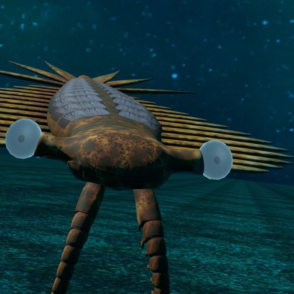 Anomalocaris