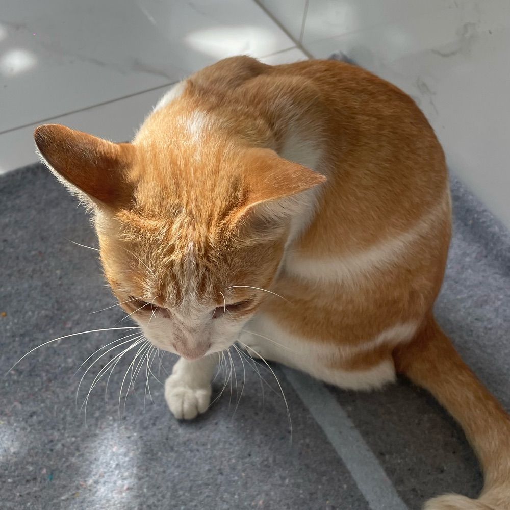 นายแจม