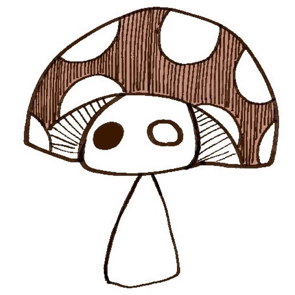 泉キノ