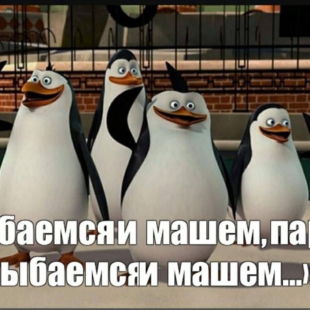 Джованни Беллини