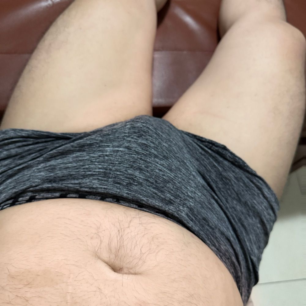 🐻