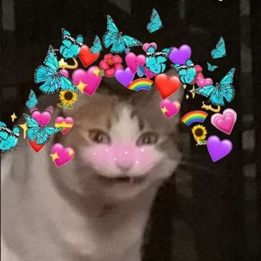 Tess🦋✨️