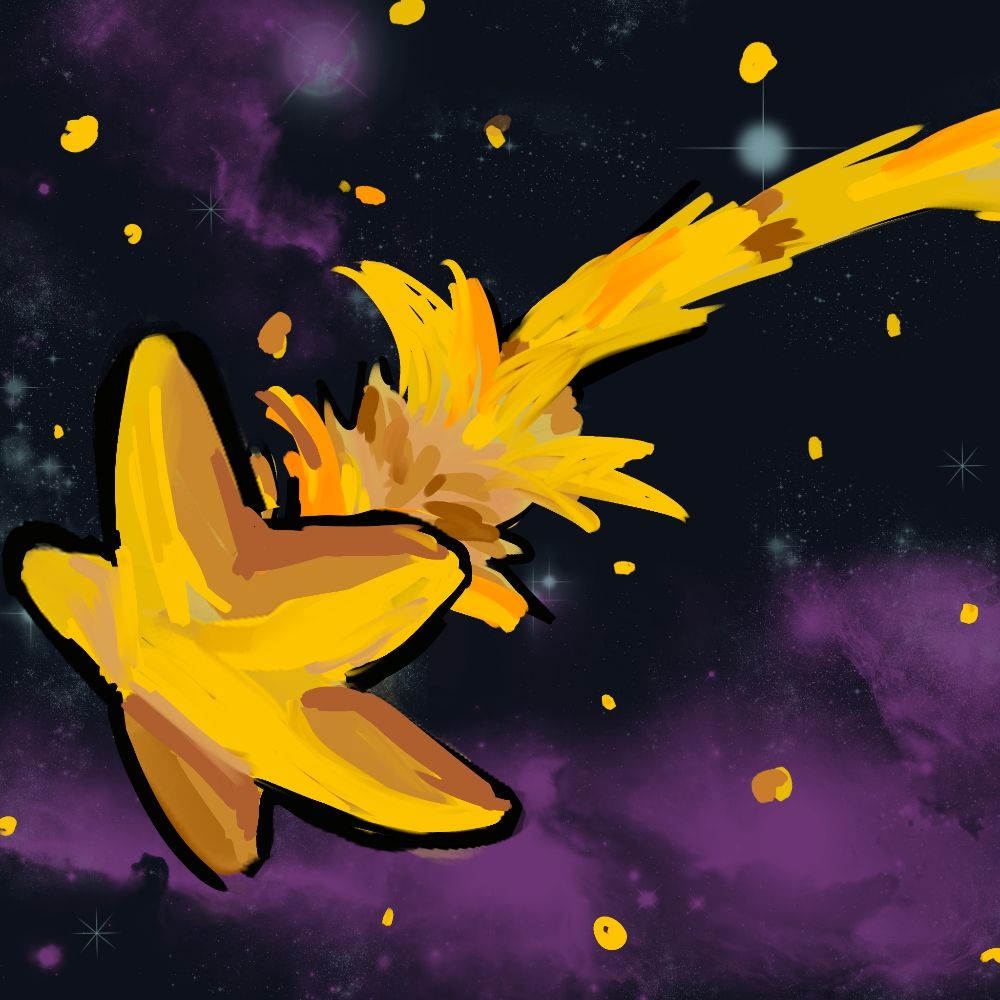 COSMO STARS