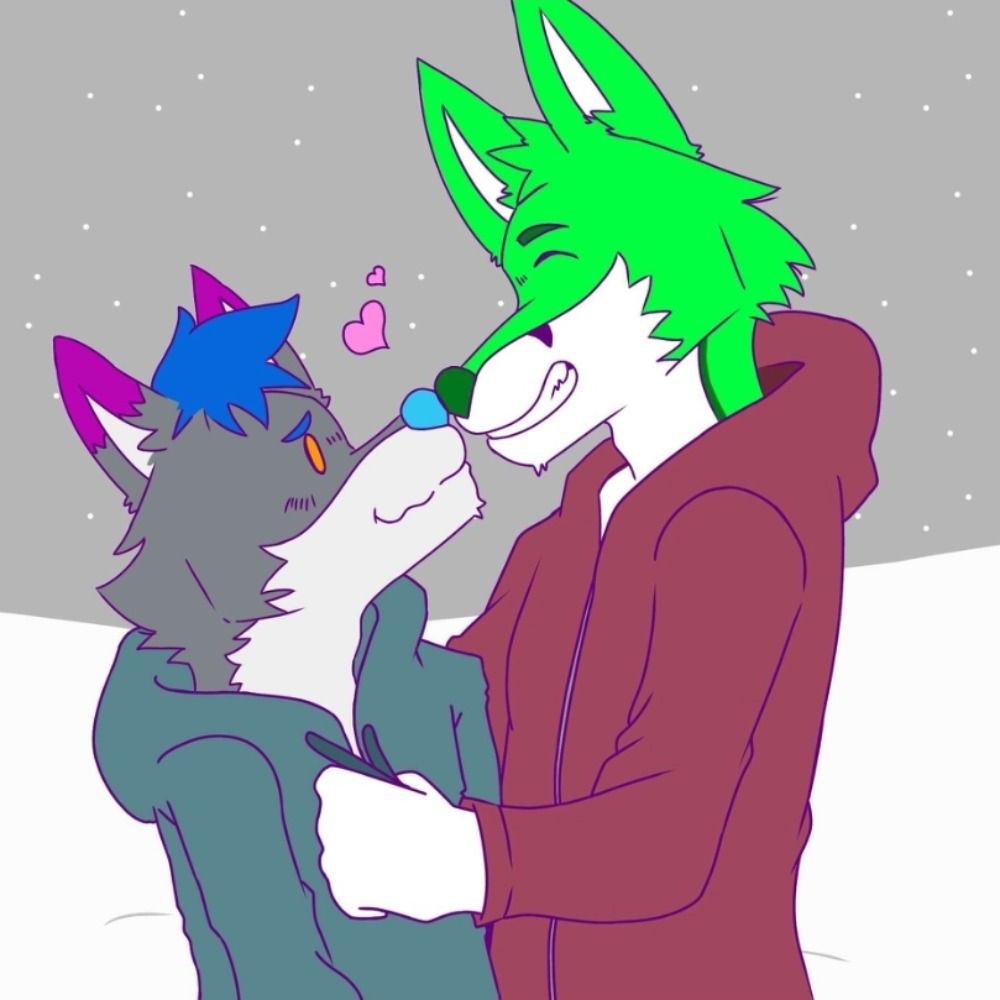 FidgetFox 