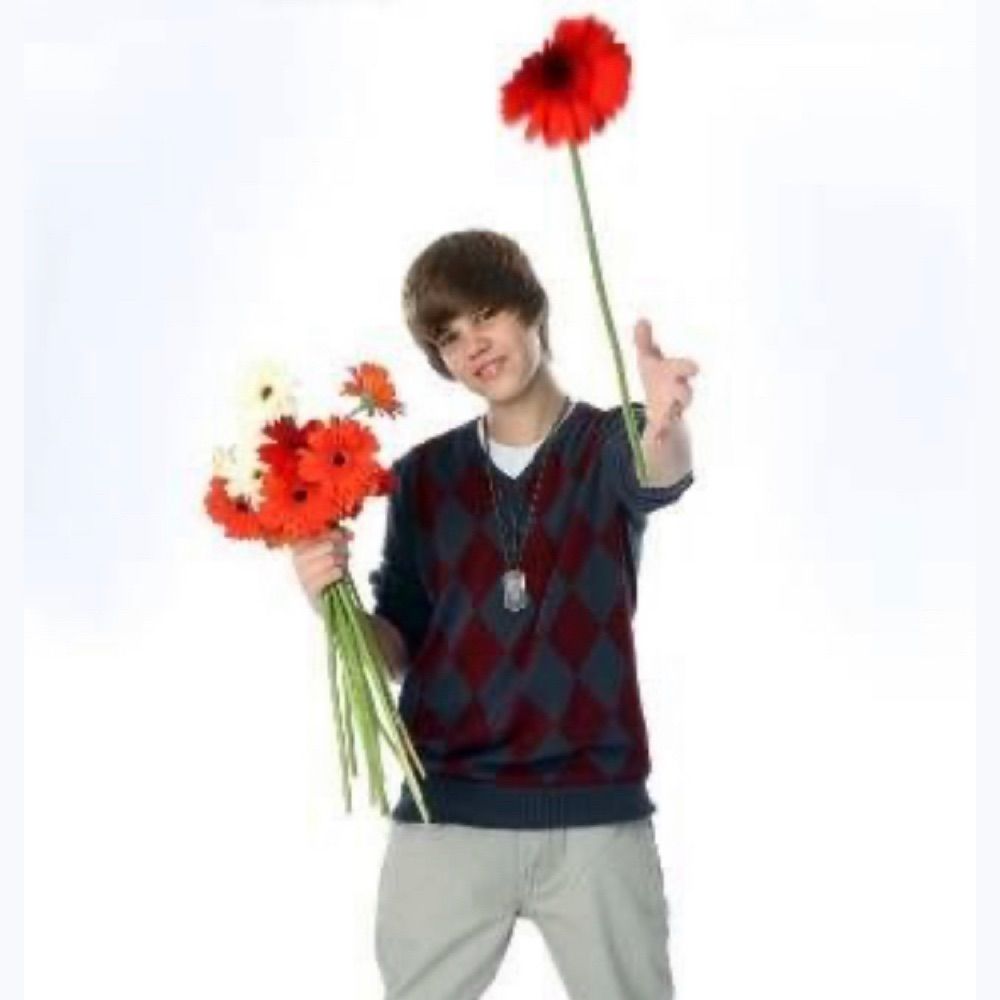 hater da banda kiss 